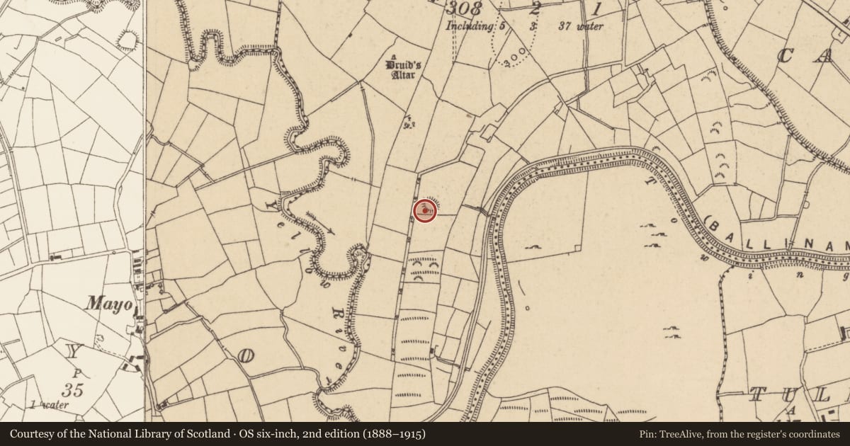 Ordnance Survey six-inch map, 2nd edition (1888–1915) covering the location of Ringfort - rath, Callowhill, County Leitrim, with a pin at the register's coordinates