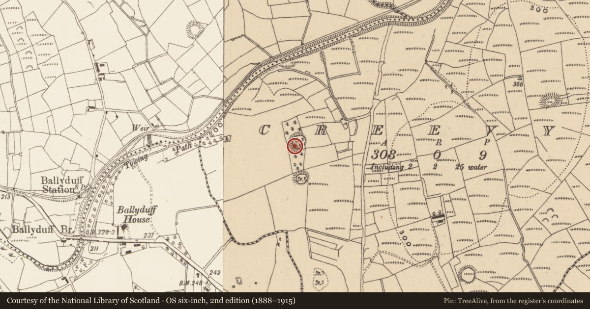 Ordnance Survey six-inch map, 2nd edition (1888–1915) covering the location of Ringfort - rath, Creevy, County Leitrim, with a pin at the register's coordinates