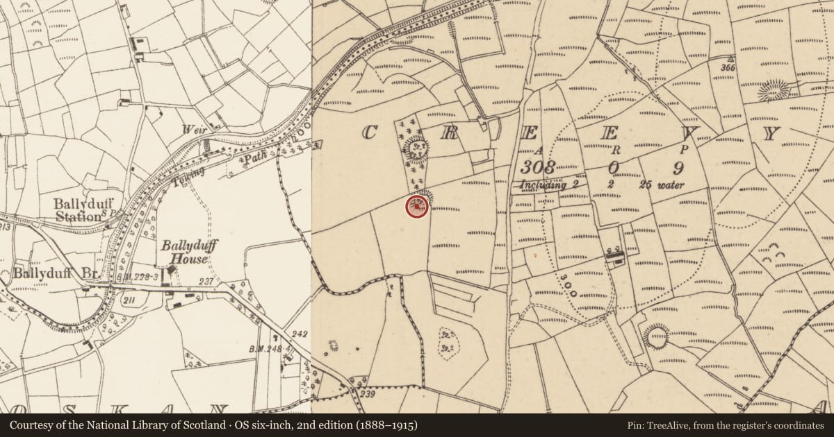 Ordnance Survey six-inch map, 2nd edition (1888–1915) covering the location of Ringfort - rath, Creevy, County Leitrim, with a pin at the register's coordinates