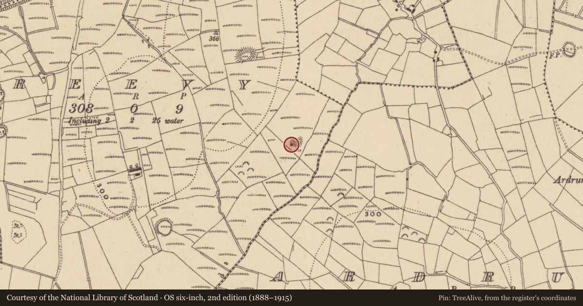 Ordnance Survey six-inch map, 2nd edition (1888–1915) covering the location of Ringfort - rath, Creevy, County Leitrim, with a pin at the register's coordinates