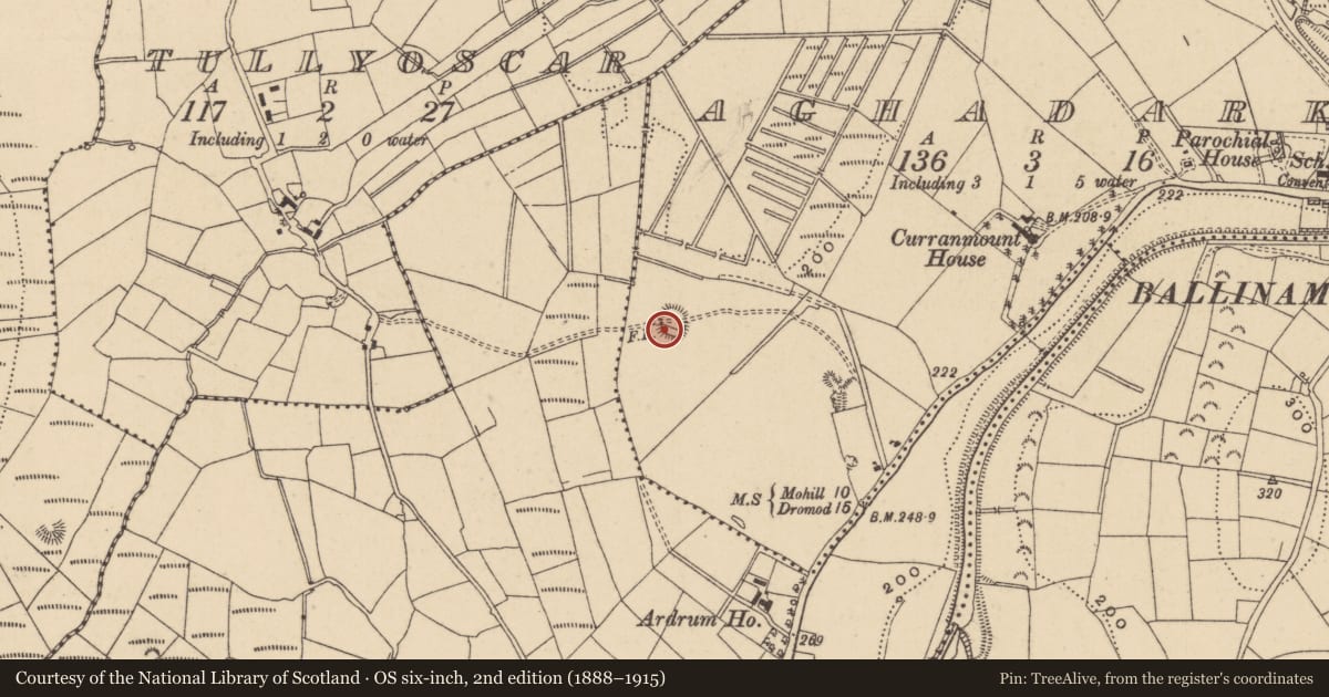 Ordnance Survey six-inch map, 2nd edition (1888–1915) covering the location of Ringfort - rath, Aghadark, County Leitrim, with a pin at the register's coordinates