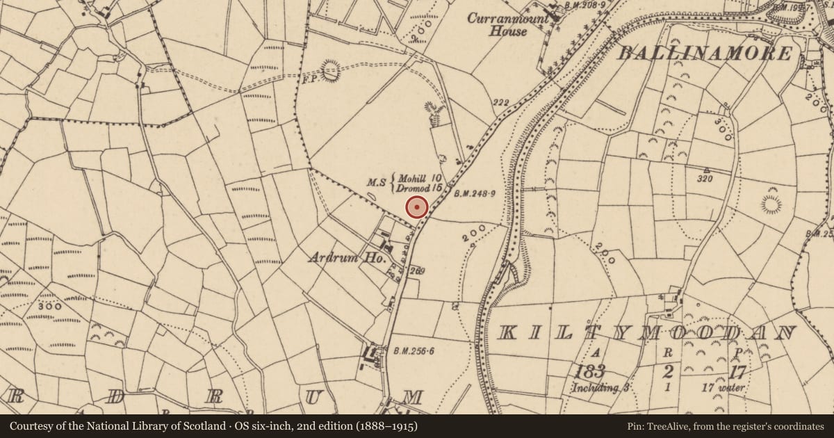 Ordnance Survey six-inch map, 2nd edition (1888–1915) covering the location of Ringfort - rath, Aghadark, County Leitrim, with a pin at the register's coordinates