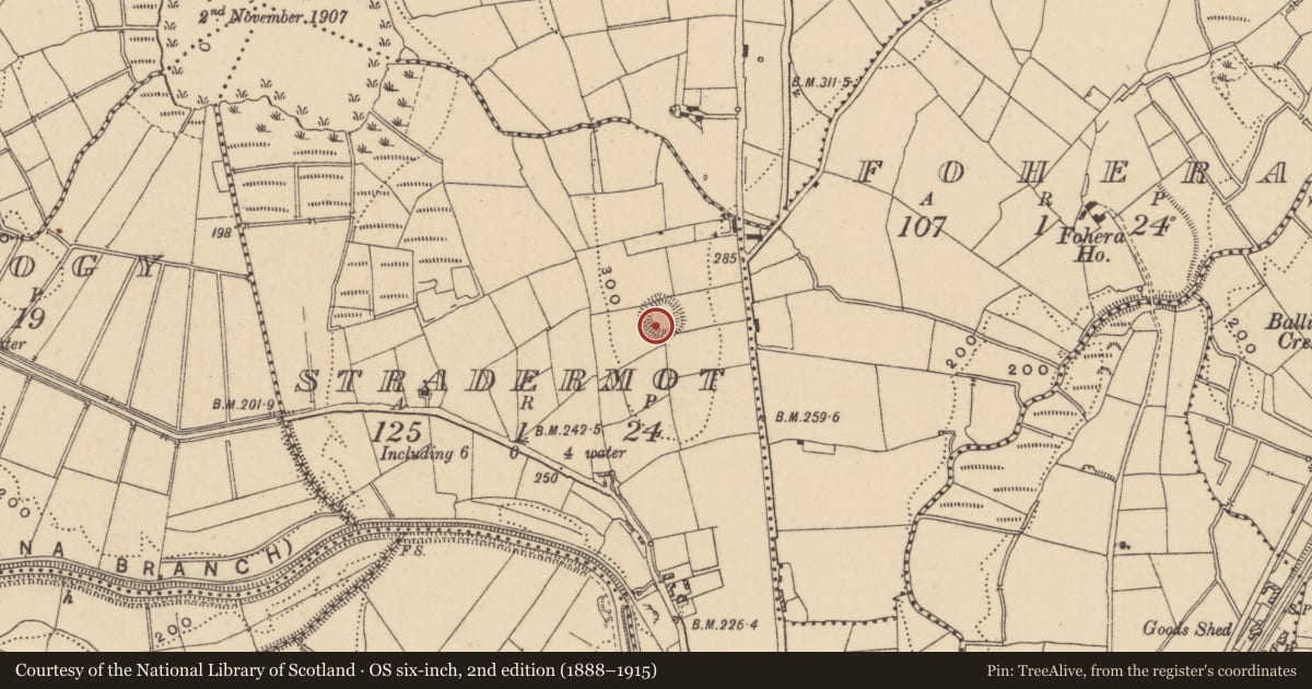 Ordnance Survey six-inch map, 2nd edition (1888–1915) covering the location of Ringfort - rath, Stradermot, County Leitrim, with a pin at the register's coordinates