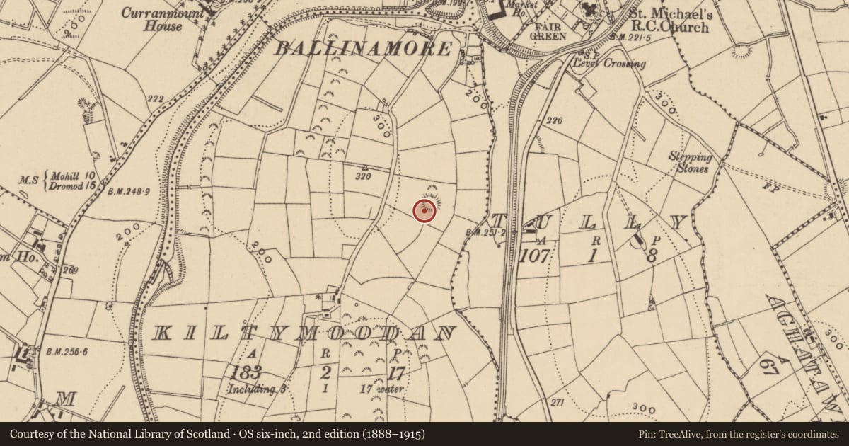 Ordnance Survey six-inch map, 2nd edition (1888–1915) covering the location of Ringfort - rath, Kiltymoodan, County Leitrim, with a pin at the register's coordinates
