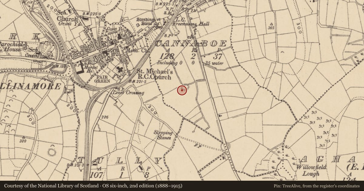 Ordnance Survey six-inch map, 2nd edition (1888–1915) covering the location of Ringfort - rath, Cannaboe, County Leitrim, with a pin at the register's coordinates
