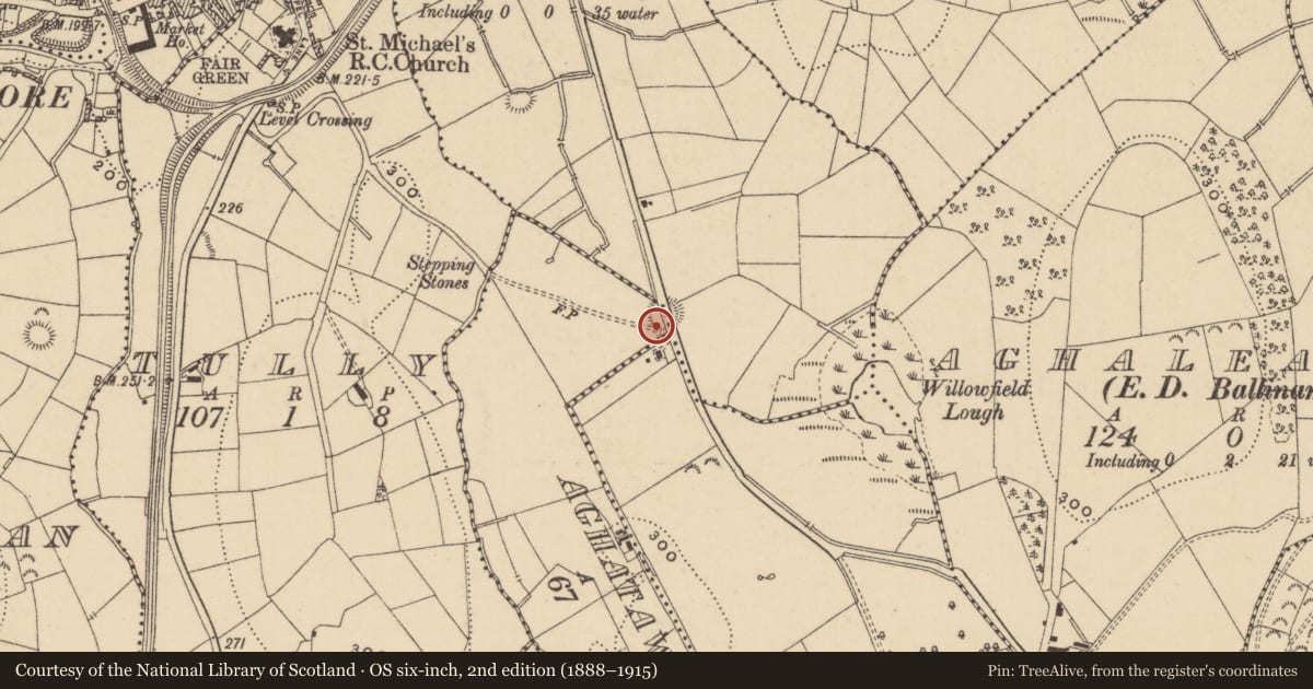 Ordnance Survey six-inch map, 2nd edition (1888–1915) covering the location of Ringfort - rath, Aghatawny Upper, Cannaboe, County Leitrim, with a pin at the register's coordinates