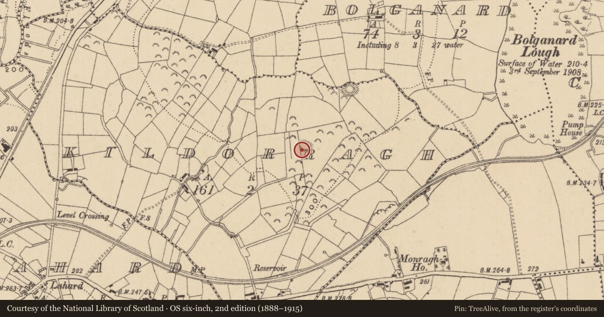 Ordnance Survey six-inch map, 2nd edition (1888–1915) covering the location of Ringfort - rath, Kildorragh, County Leitrim, with a pin at the register's coordinates