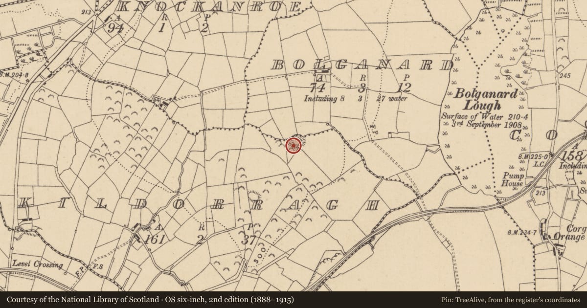 Ordnance Survey six-inch map, 2nd edition (1888–1915) covering the location of Ringfort - rath, Kildorragh, County Leitrim, with a pin at the register's coordinates