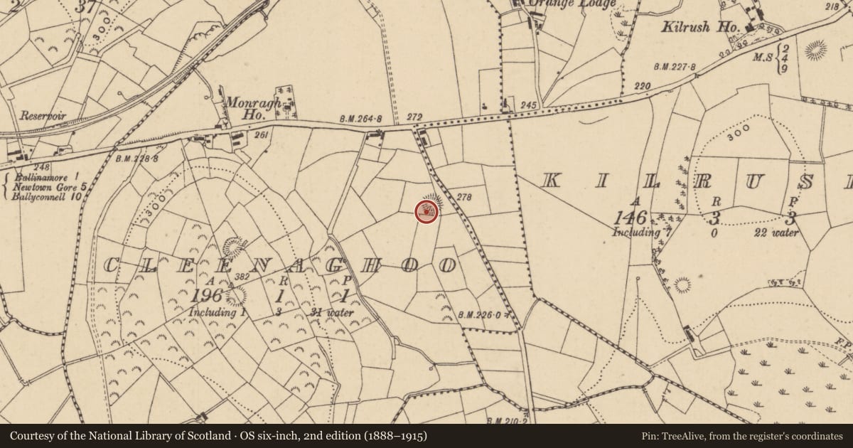 Ordnance Survey six-inch map, 2nd edition (1888–1915) covering the location of Ringfort - rath, Cleenaghoo, County Leitrim, with a pin at the register's coordinates
