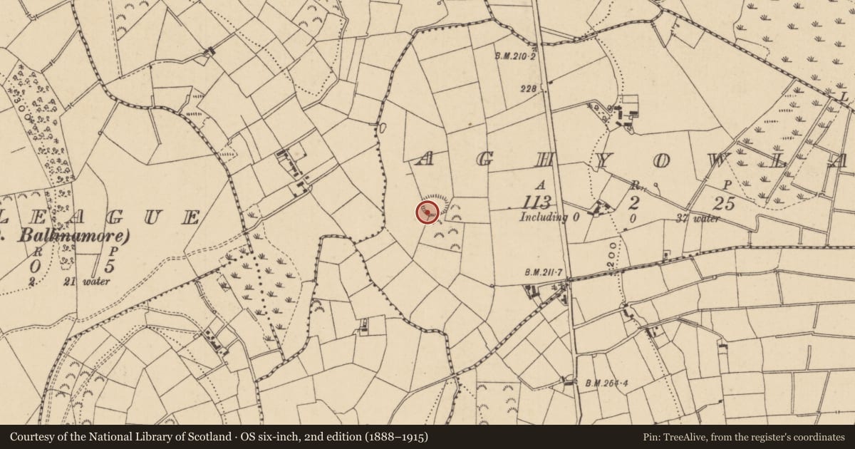 Ordnance Survey six-inch map, 2nd edition (1888–1915) covering the location of Ringfort - rath, Aghyowla, County Leitrim, with a pin at the register's coordinates