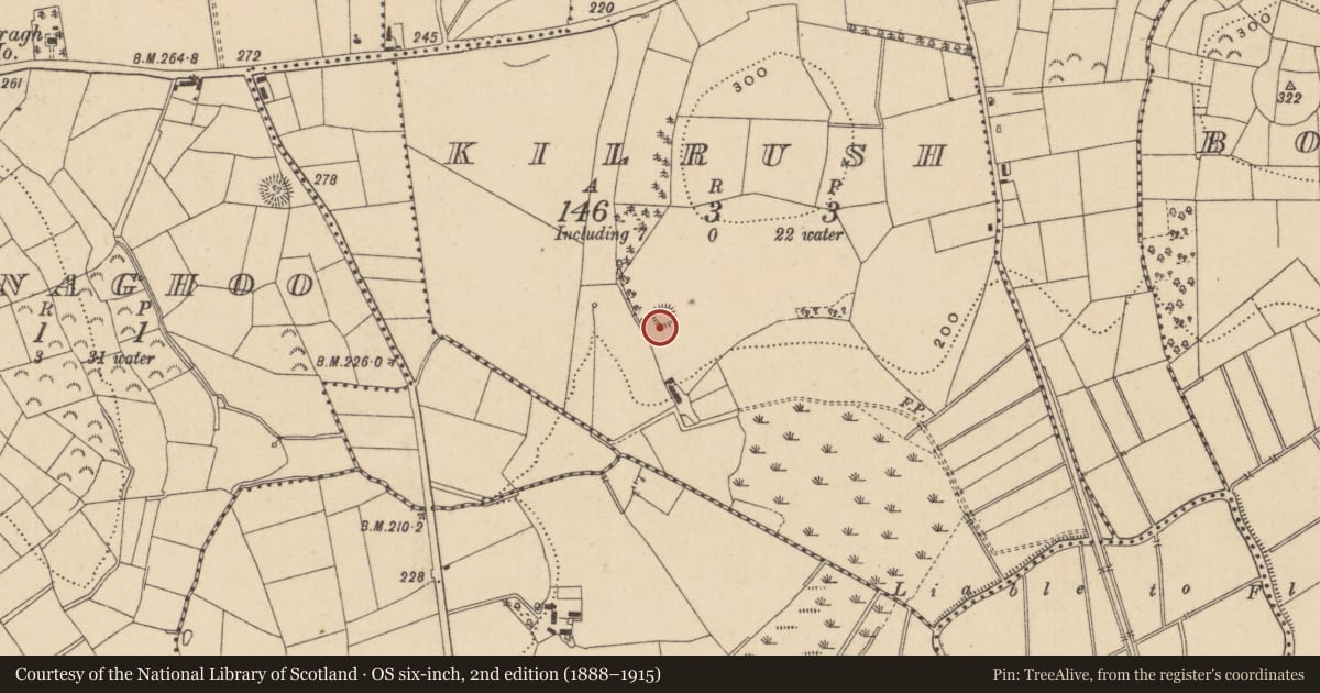 Ordnance Survey six-inch map, 2nd edition (1888–1915) covering the location of Ringfort - rath, Kilrush, County Leitrim, with a pin at the register's coordinates