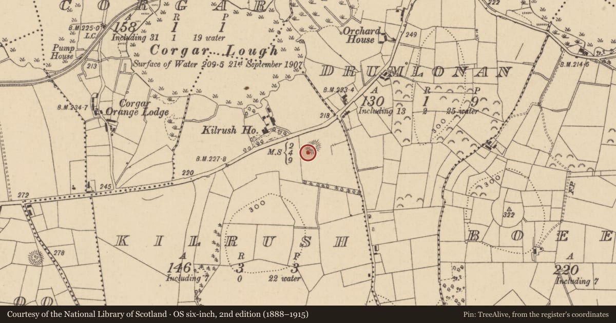 Ordnance Survey six-inch map, 2nd edition (1888–1915) covering the location of Enclosure, Kilrush, County Leitrim, with a pin at the register's coordinates