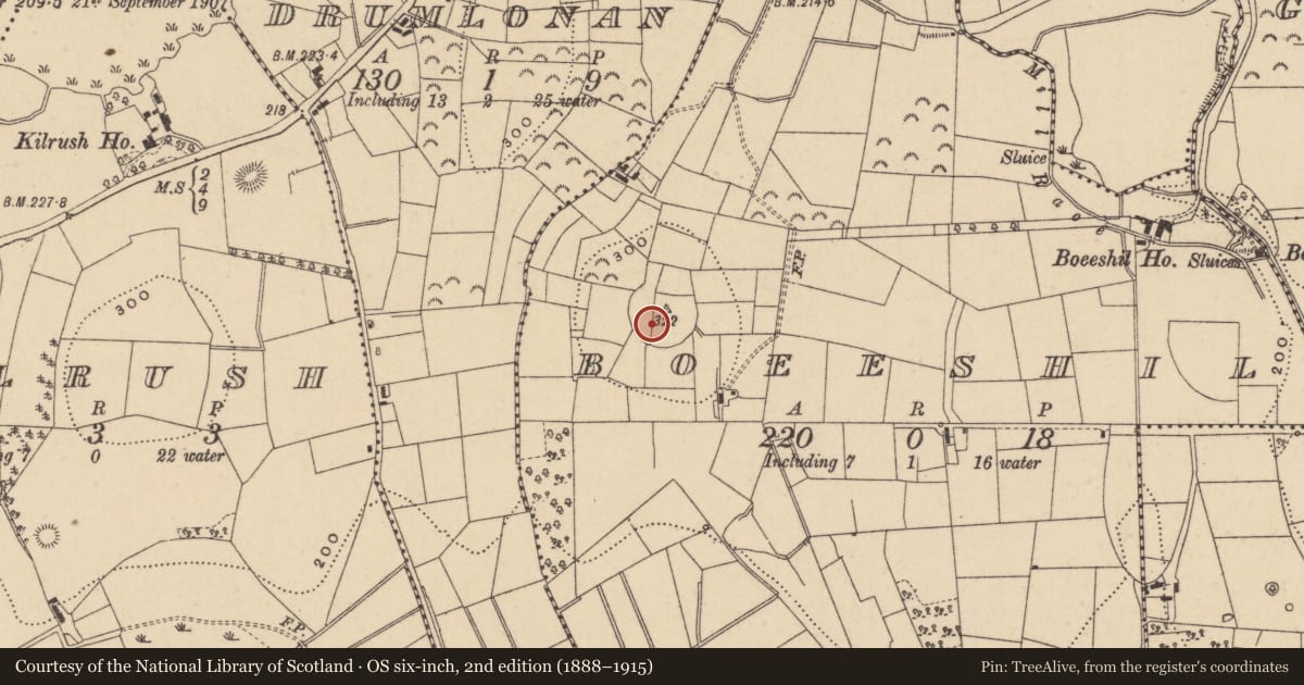 Ordnance Survey six-inch map, 2nd edition (1888–1915) covering the location of Hilltop enclosure, Boeeshil, County Leitrim, with a pin at the register's coordinates