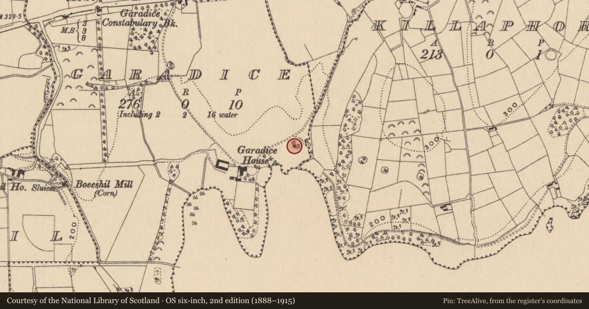 Ordnance Survey six-inch map, 2nd edition (1888–1915) covering the location of Enclosure, Garadice, County Leitrim, with a pin at the register's coordinates
