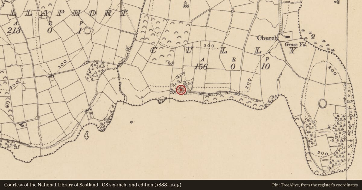 Ordnance Survey six-inch map, 2nd edition (1888–1915) covering the location of Enclosure, Cully, County Leitrim, with a pin at the register's coordinates