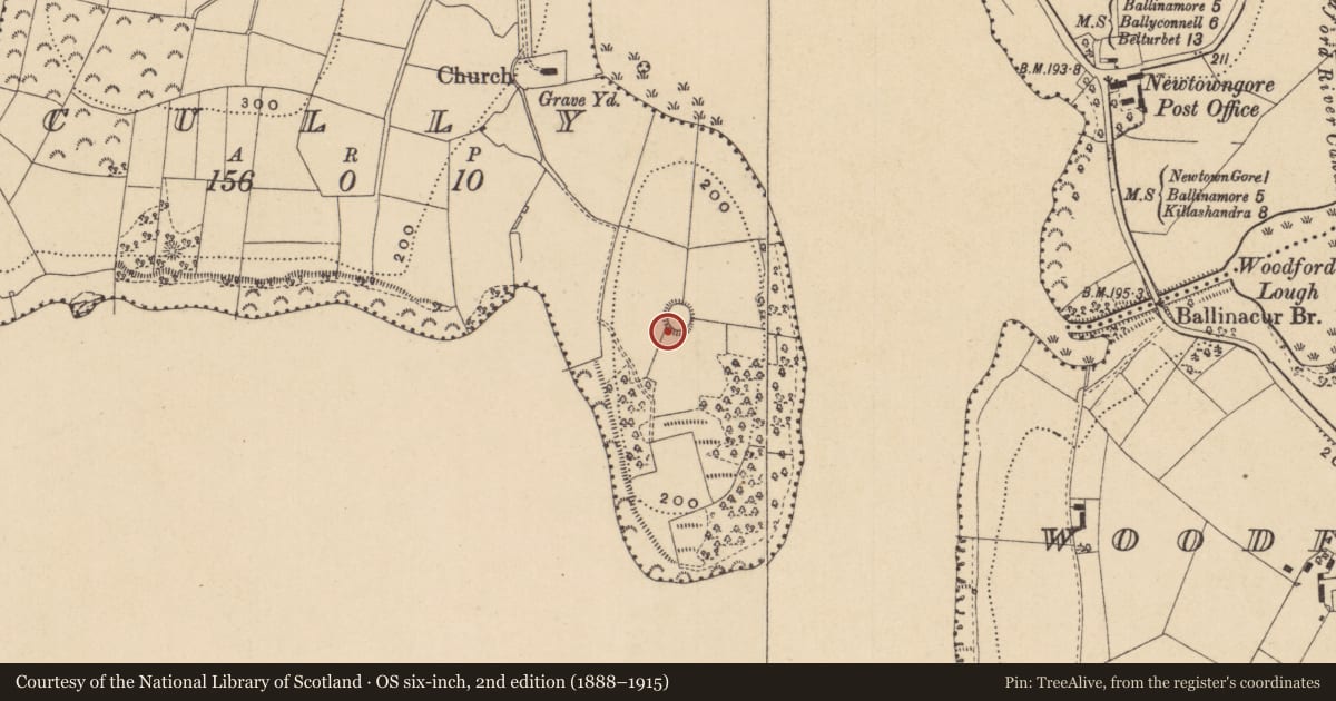 Ordnance Survey six-inch map, 2nd edition (1888–1915) covering the location of Ringfort - rath, Cully, County Leitrim, with a pin at the register's coordinates