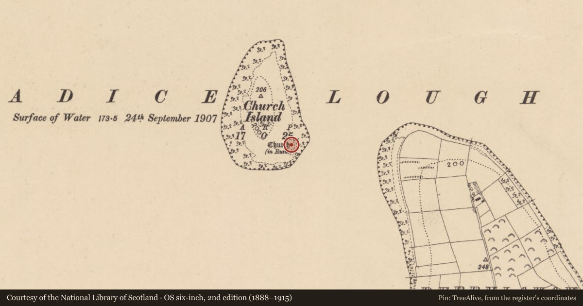 Ordnance Survey six-inch map, 2nd edition (1888–1915) covering the location of Church, Church Island, County Leitrim, with a pin at the register's coordinates