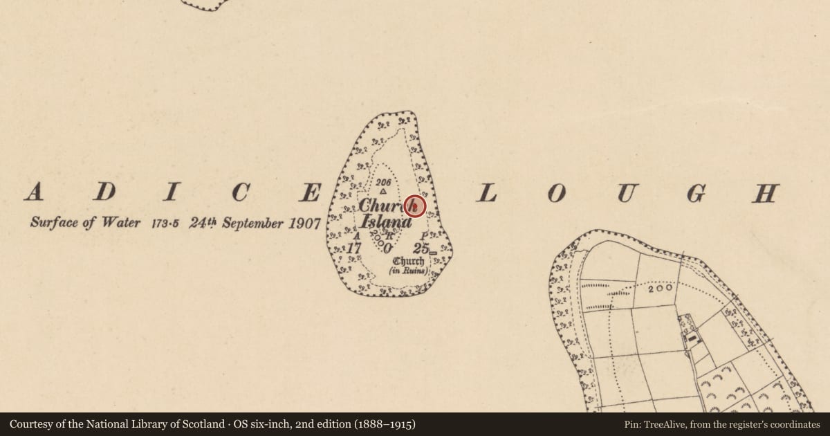 Ordnance Survey six-inch map, 2nd edition (1888–1915) covering the location of Bullaun stone, Church Island, County Leitrim, with a pin at the register's coordinates