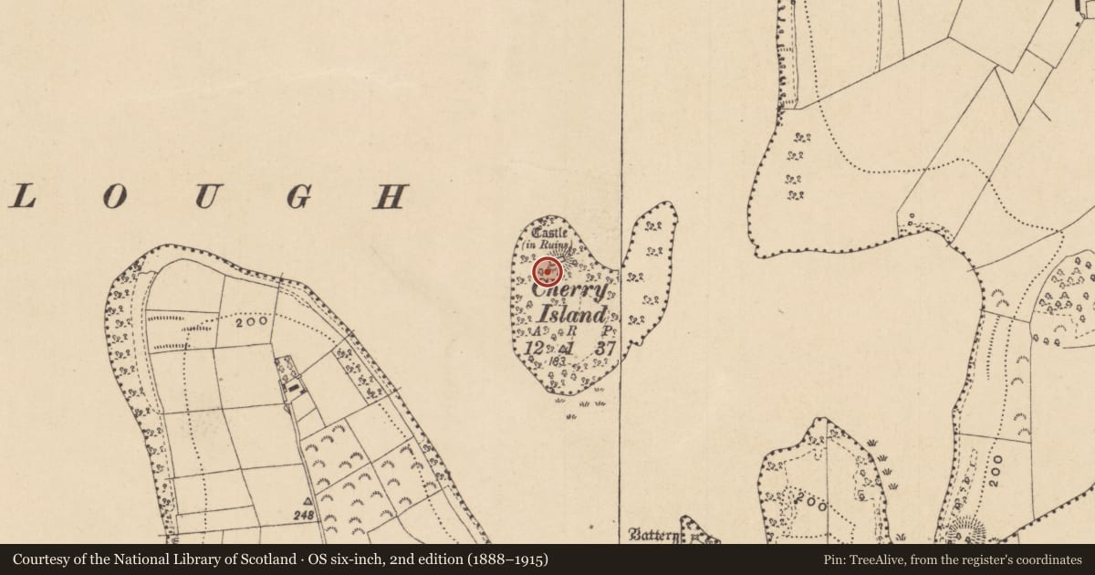 Ordnance Survey six-inch map, 2nd edition (1888–1915) covering the location of Castle - unclassified, Cherry Island, County Leitrim, with a pin at the register's coordinates