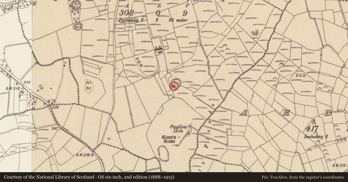 Ordnance Survey six-inch map, 2nd edition (1888–1915) covering the location of Ringfort - rath, Creevy, County Leitrim, with a pin at the register's coordinates