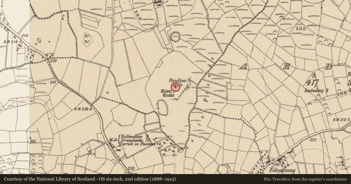 Ordnance Survey six-inch map, 2nd edition (1888–1915) covering the location of Megalithic tomb - portal tomb, Creevy, County Leitrim, with a pin at the register's coordinates