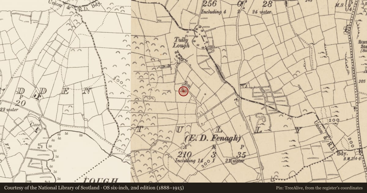 Ordnance Survey six-inch map, 2nd edition (1888–1915) covering the location of Ringfort - rath, Tully, County Leitrim, with a pin at the register's coordinates
