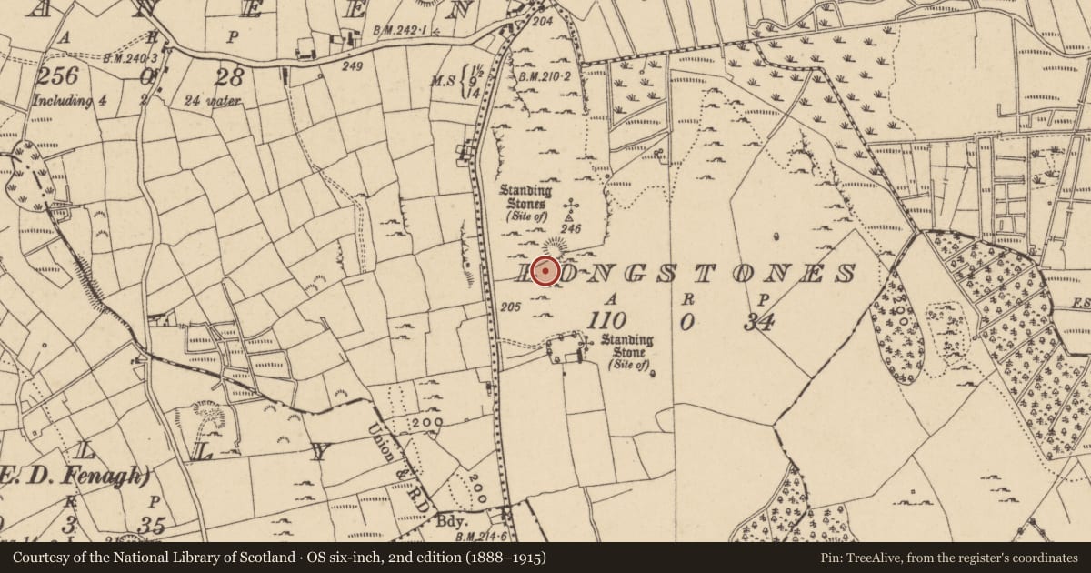 Ordnance Survey six-inch map, 2nd edition (1888–1915) covering the location of Standing stone, Longstones, County Leitrim, with a pin at the register's coordinates