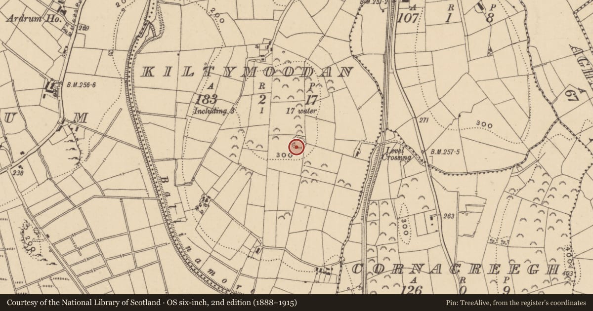Ordnance Survey six-inch map, 2nd edition (1888–1915) covering the location of Ringfort - rath, Kiltymoodan, County Leitrim, with a pin at the register's coordinates