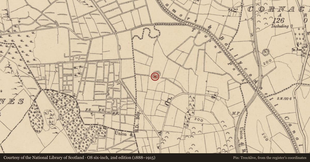 Ordnance Survey six-inch map, 2nd edition (1888–1915) covering the location of Ringfort - rath, Drumraine Glebe, County Leitrim, with a pin at the register's coordinates