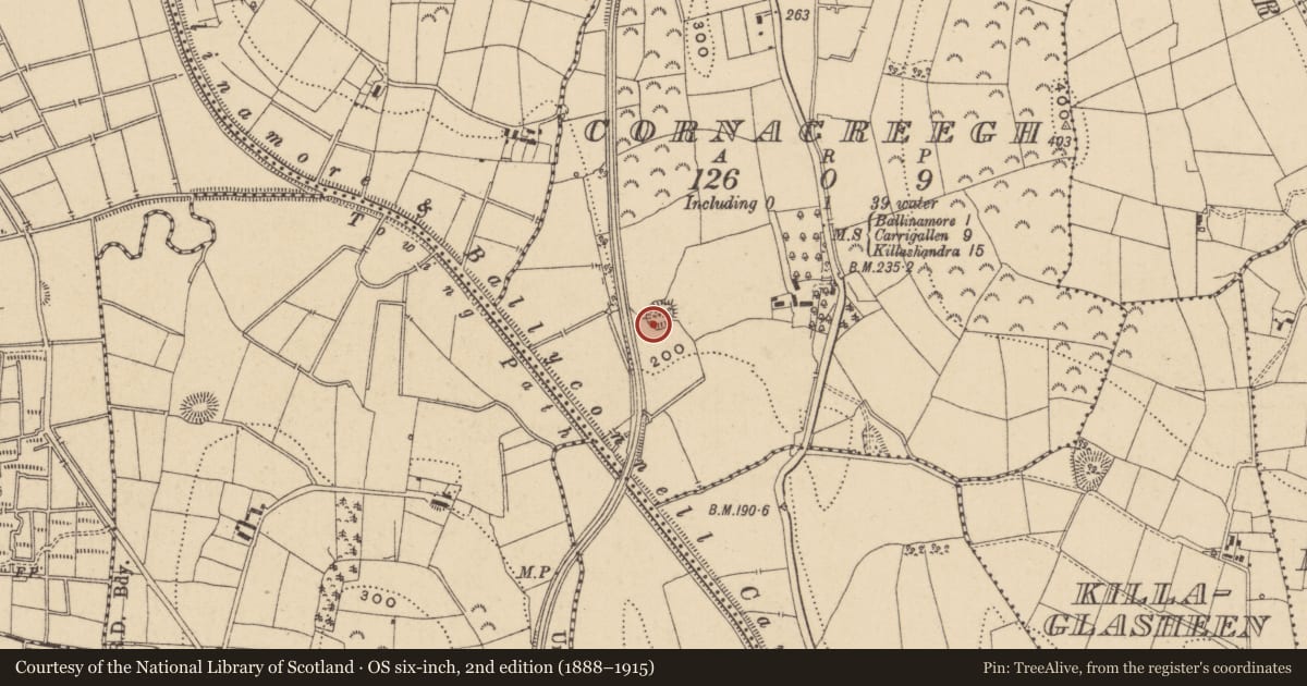 Ordnance Survey six-inch map, 2nd edition (1888–1915) covering the location of Ringfort - rath, Cornacreegh, County Leitrim, with a pin at the register's coordinates