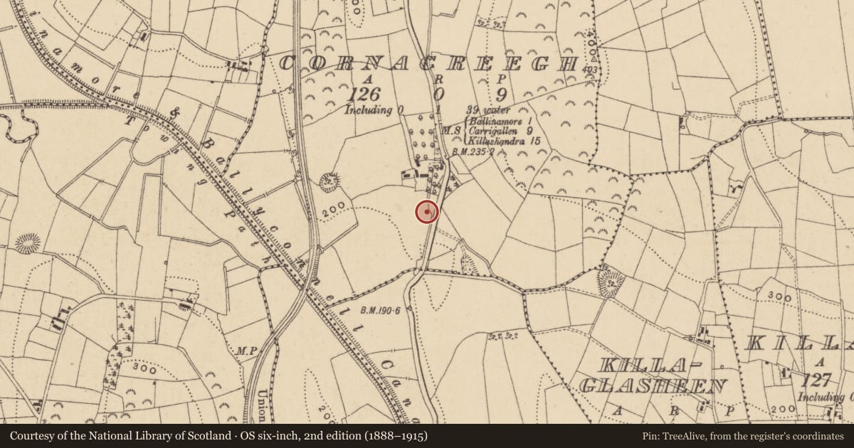Ordnance Survey six-inch map, 2nd edition (1888–1915) covering the location of Ringfort - rath, Cornacreegh, County Leitrim, with a pin at the register's coordinates