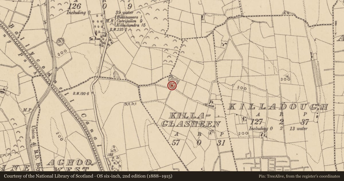 Ordnance Survey six-inch map, 2nd edition (1888–1915) covering the location of Ringfort - rath, Killaglasheen, County Leitrim, with a pin at the register's coordinates