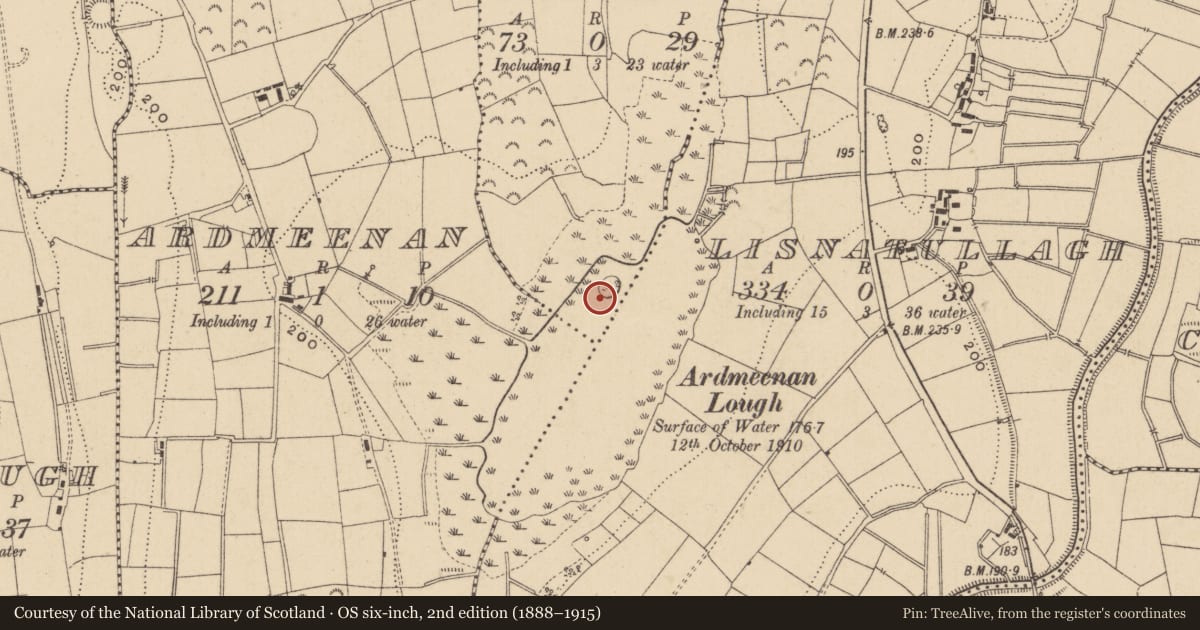Ordnance Survey six-inch map, 2nd edition (1888–1915) covering the location of Crannog, Curraghashillaun, County Leitrim, with a pin at the register's coordinates