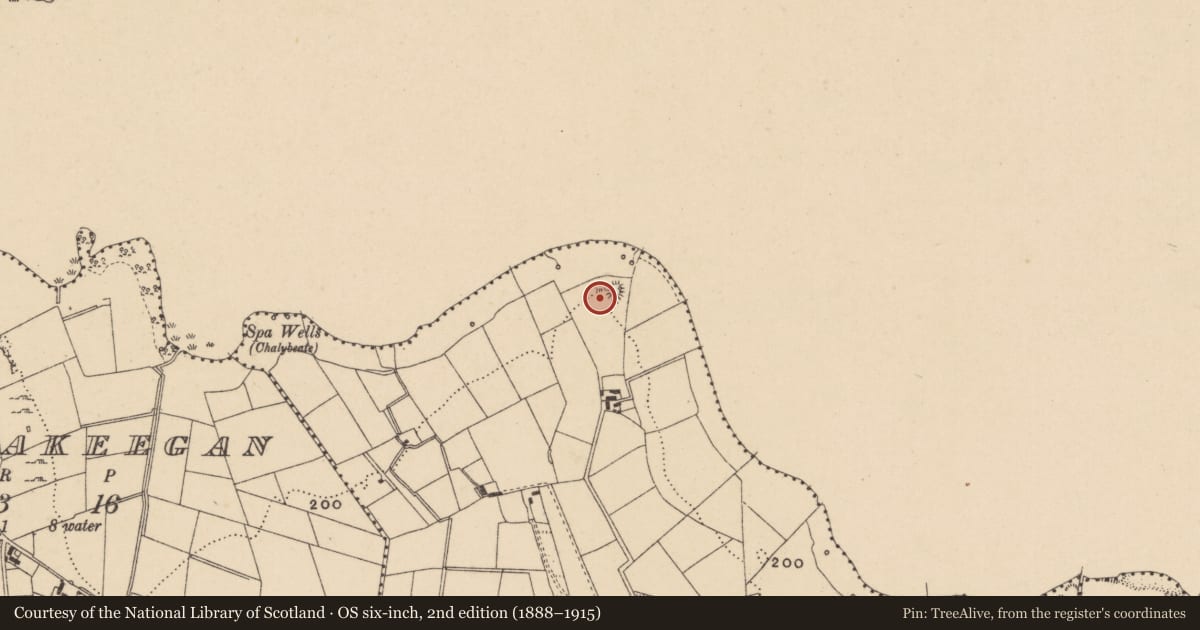 Ordnance Survey six-inch map, 2nd edition (1888–1915) covering the location of Ringfort - unclassified, Ardunsaghan, County Leitrim, with a pin at the register's coordinates