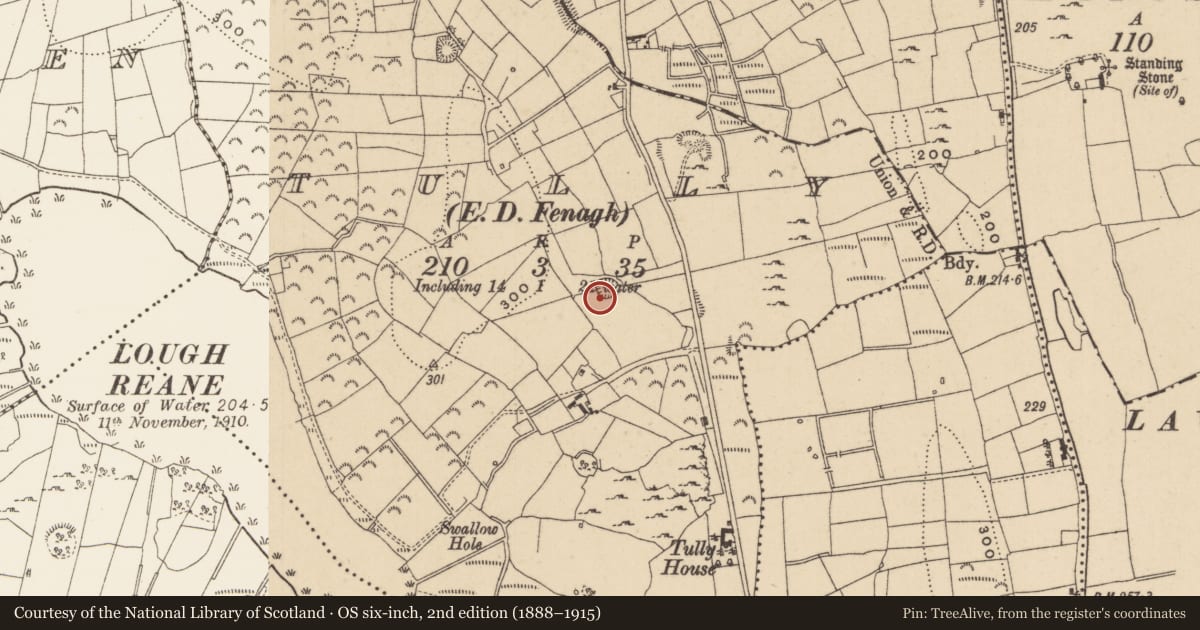 Ordnance Survey six-inch map, 2nd edition (1888–1915) covering the location of Ringfort - rath, Tully, County Leitrim, with a pin at the register's coordinates