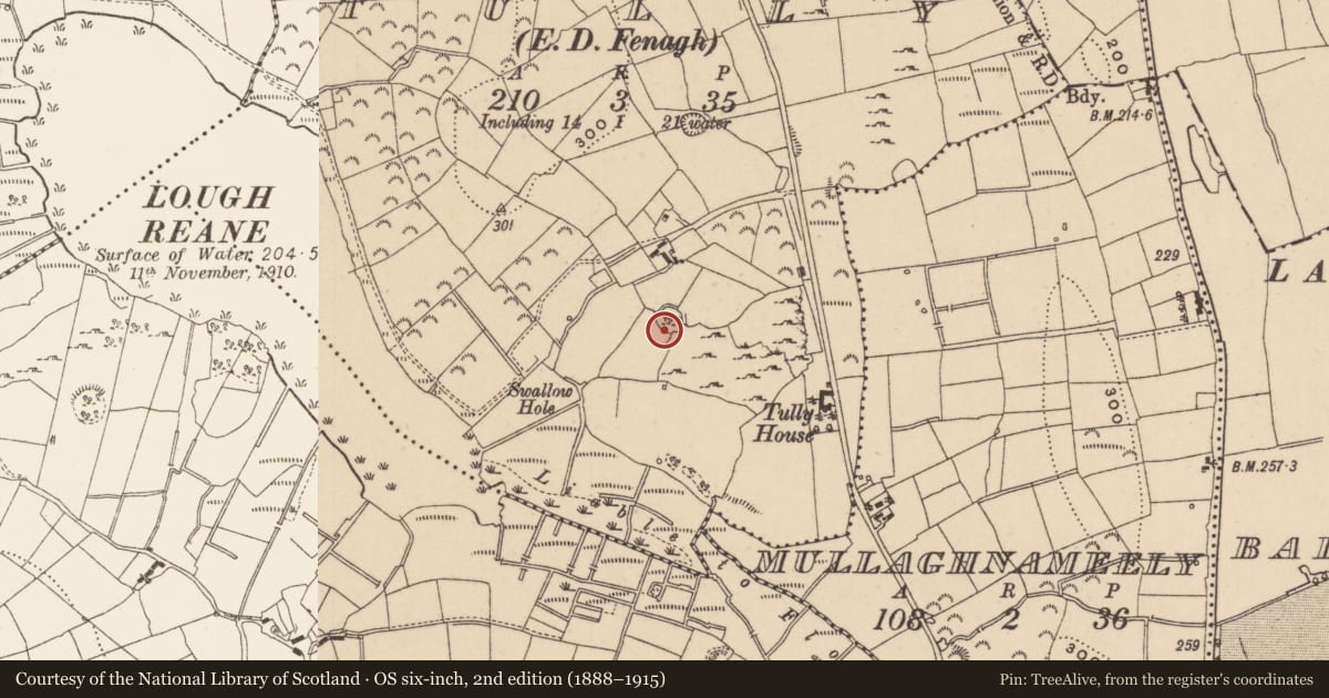 Ordnance Survey six-inch map, 2nd edition (1888–1915) covering the location of Ringfort - cashel, Tully, County Leitrim, with a pin at the register's coordinates