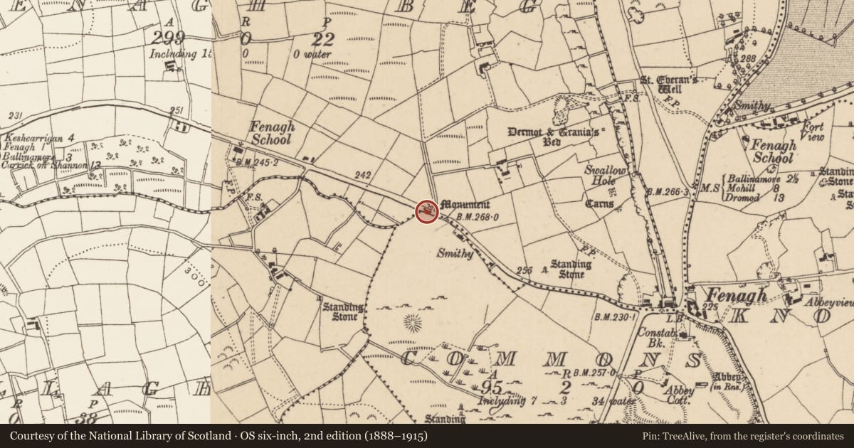 Ordnance Survey six-inch map, 2nd edition (1888–1915) covering the location of Mound, Fenagh Beg, County Leitrim, with a pin at the register's coordinates