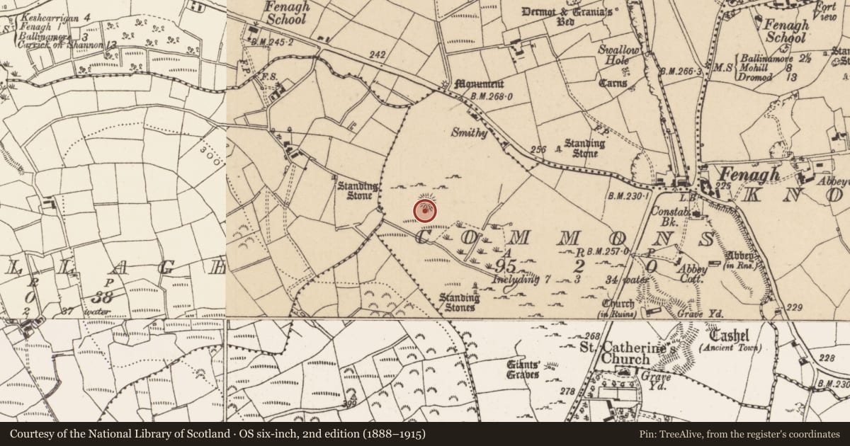 Ordnance Survey six-inch map, 2nd edition (1888–1915) covering the location of Ringfort - cashel, Commons, County Leitrim, with a pin at the register's coordinates