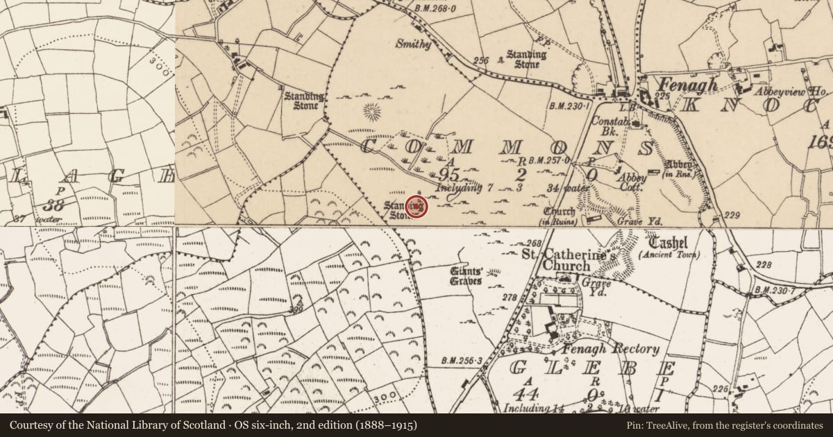 Ordnance Survey six-inch map, 2nd edition (1888–1915) covering the location of Standing stone - pair, Commons, County Leitrim, with a pin at the register's coordinates
