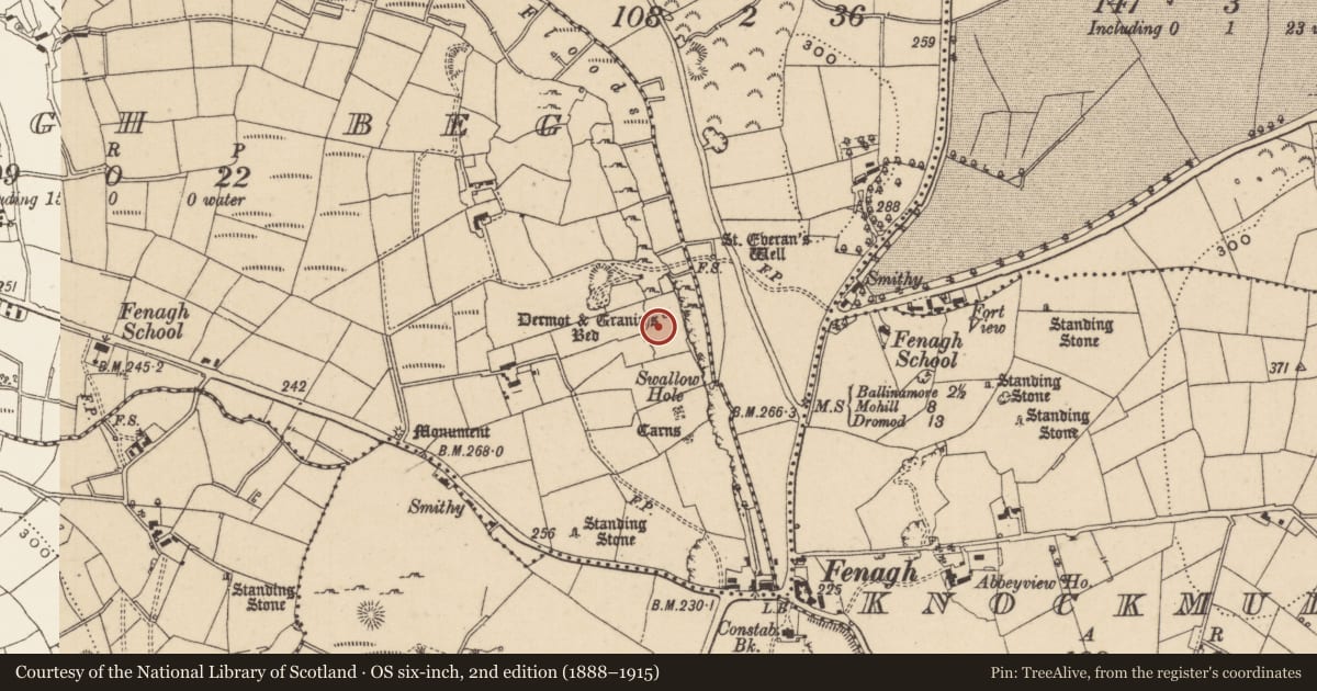 Ordnance Survey six-inch map, 2nd edition (1888–1915) covering the location of Megalithic tomb - portal tomb, Fenagh Beg, County Leitrim, with a pin at the register's coordinates