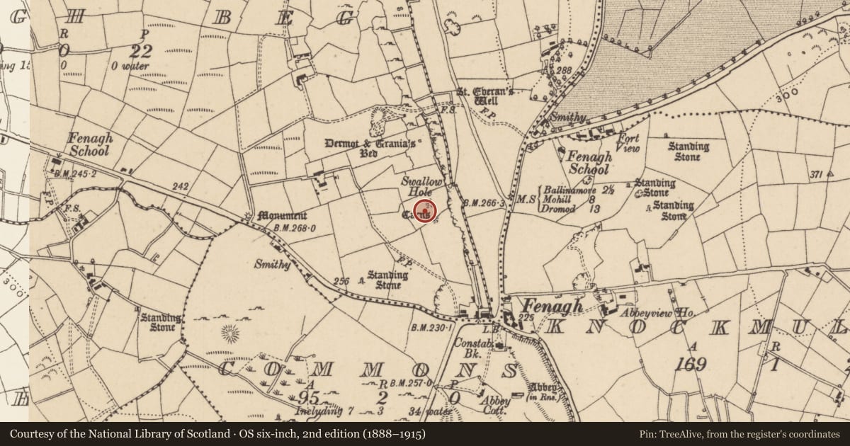 Ordnance Survey six-inch map, 2nd edition (1888–1915) covering the location of Megalithic tomb - passage tomb, Fenagh Beg, County Leitrim, with a pin at the register's coordinates