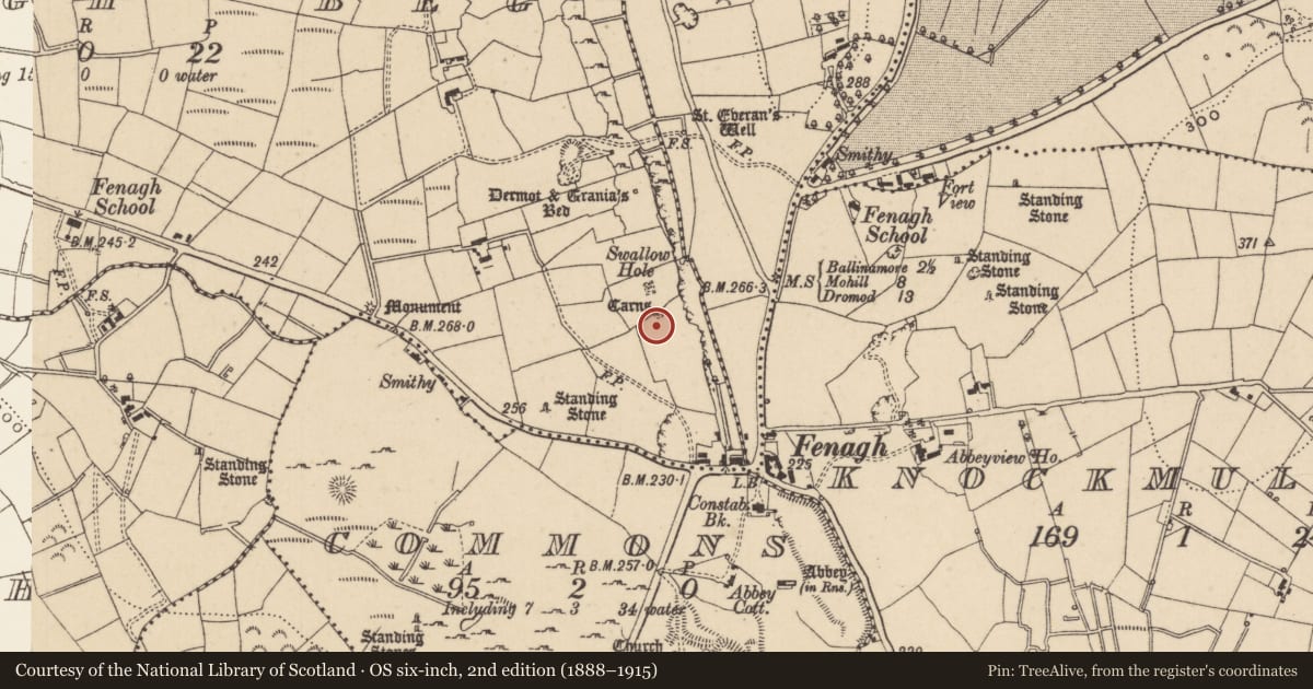 Ordnance Survey six-inch map, 2nd edition (1888–1915) covering the location of Megalithic tomb - passage tomb, Fenagh Beg, County Leitrim, with a pin at the register's coordinates
