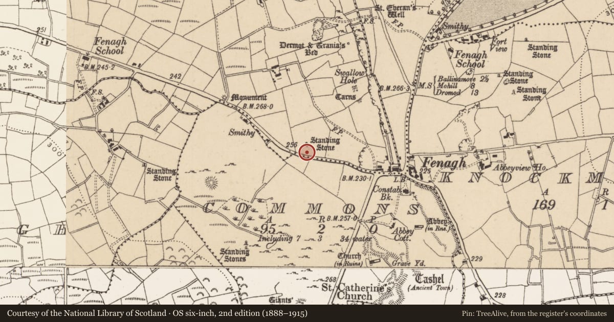 Ordnance Survey six-inch map, 2nd edition (1888–1915) covering the location of Standing stone, Fenagh Beg, County Leitrim, with a pin at the register's coordinates