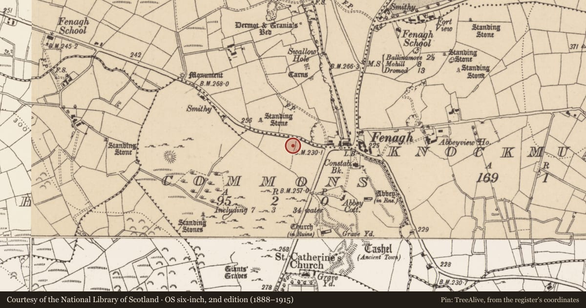 Ordnance Survey six-inch map, 2nd edition (1888–1915) covering the location of Standing stone, Commons, County Leitrim, with a pin at the register's coordinates