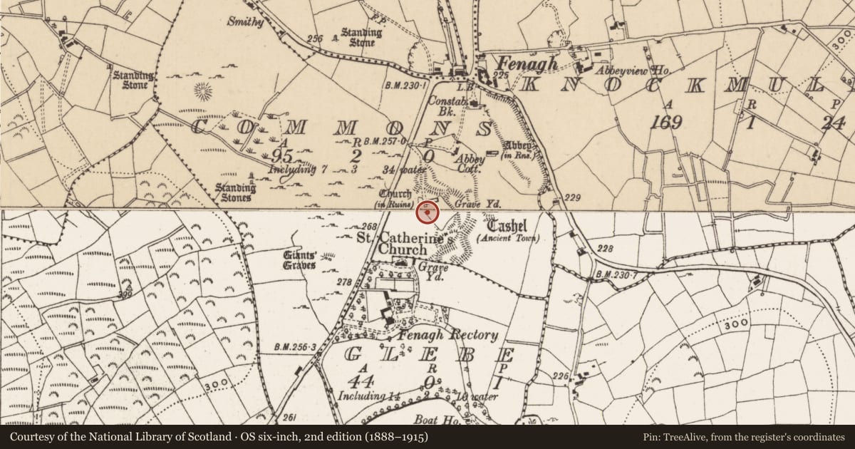 Ordnance Survey six-inch map, 2nd edition (1888–1915) covering the location of Church, Commons, County Leitrim, with a pin at the register's coordinates