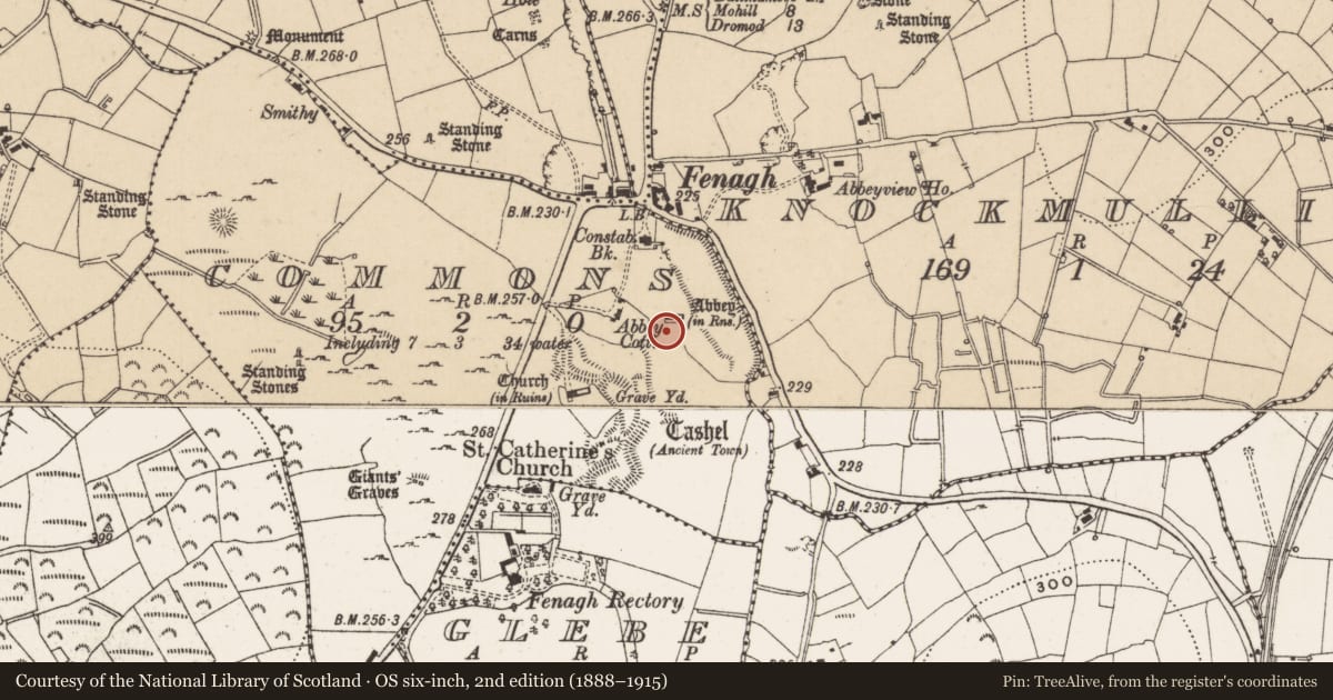 Ordnance Survey six-inch map, 2nd edition (1888–1915) covering the location of Church, Commons, County Leitrim, with a pin at the register's coordinates