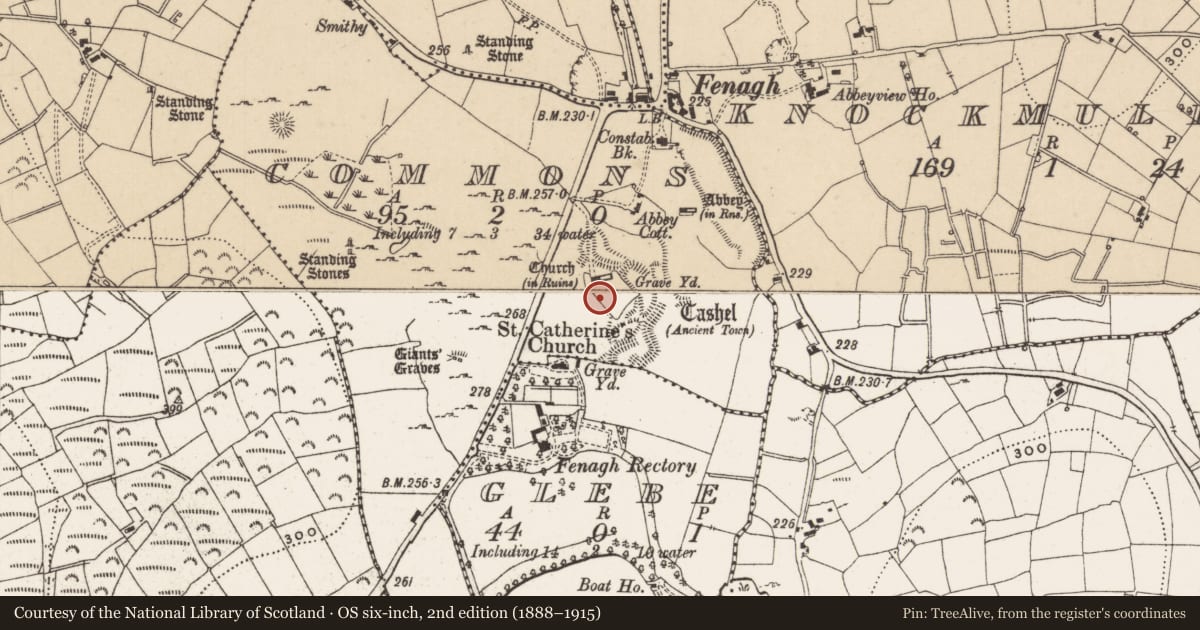 Ordnance Survey six-inch map, 2nd edition (1888–1915) covering the location of Ecclesiastical enclosure, Commons, County Leitrim, with a pin at the register's coordinates