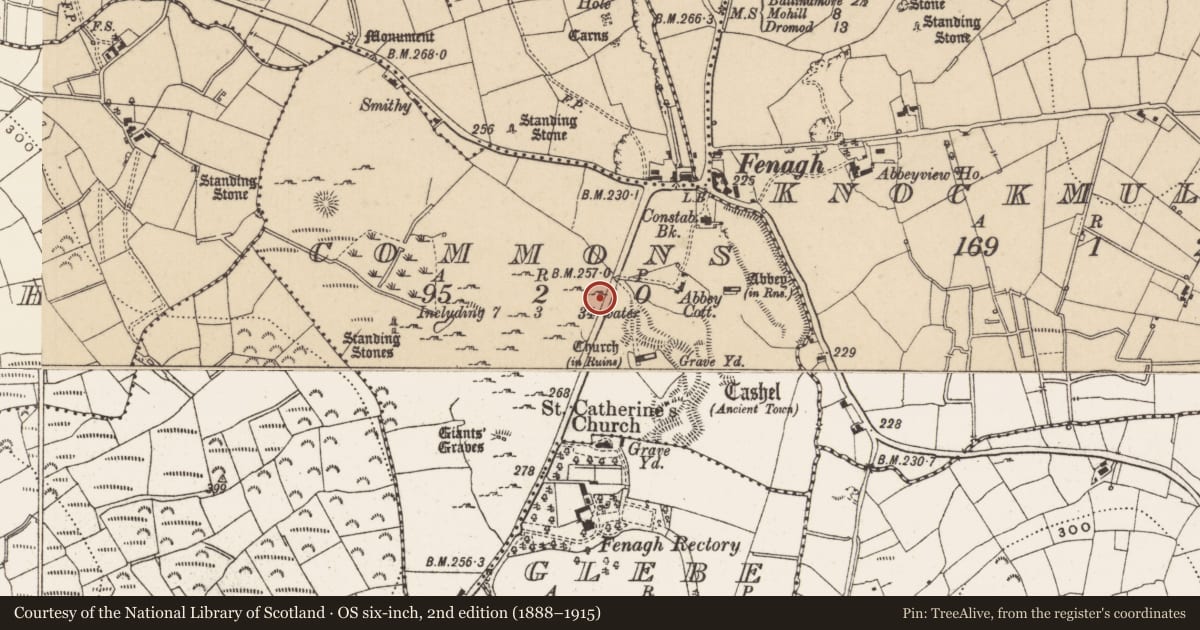 Ordnance Survey six-inch map, 2nd edition (1888–1915) covering the location of Settlement deserted - medieval, Commons, County Leitrim, with a pin at the register's coordinates