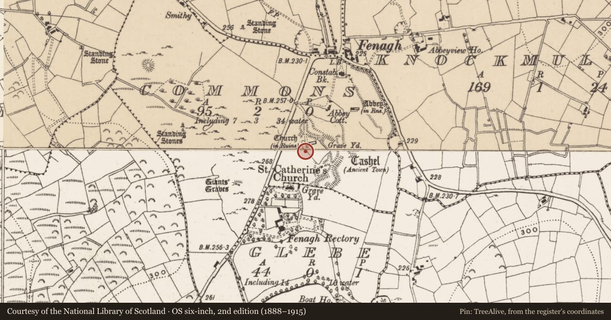 Ordnance Survey six-inch map, 2nd edition (1888–1915) covering the location of Mausoleum, Commons, County Leitrim, with a pin at the register's coordinates