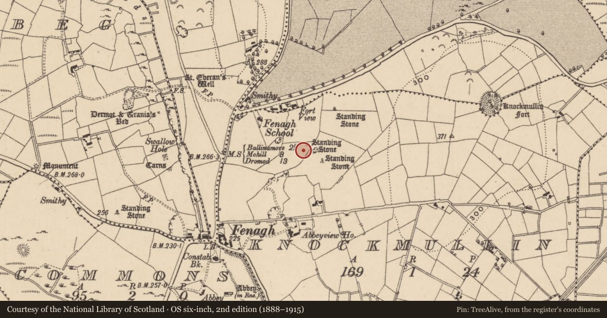 Ordnance Survey six-inch map, 2nd edition (1888–1915) covering the location of Standing stone, Knockmullin, County Leitrim, with a pin at the register's coordinates